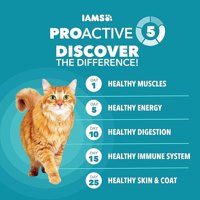 IAMS Proactive Health Dry Cat Food, Indoor Weight and Hairball Care Cat Food - Image 5