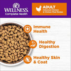 Wellness Complete Health Adult Dry Cat Food, Grain Free Kibble, Chicken Recipe - Image 2