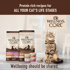 Wellness CORE Adult Dry Cat Food, Grain Free Kibble, Turkey and Chicken Recipe - Image 8