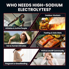 Venture Pal High Sodium Sugar Free Electrolytes Powder Packet, Zero Calories - Image 5