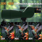 Monocular Telescope with Tripod, Bird Watching Gifts - Image 2
