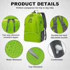 HOLYLUCK 20L Lightweight Packable Hiking Daypack Foldable Backpack - Image 4