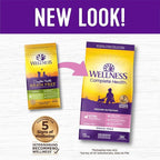 Wellness Complete Health Kitten Dry Cat Food, Grain Free Kibble, Chicken Recipe - Image 3