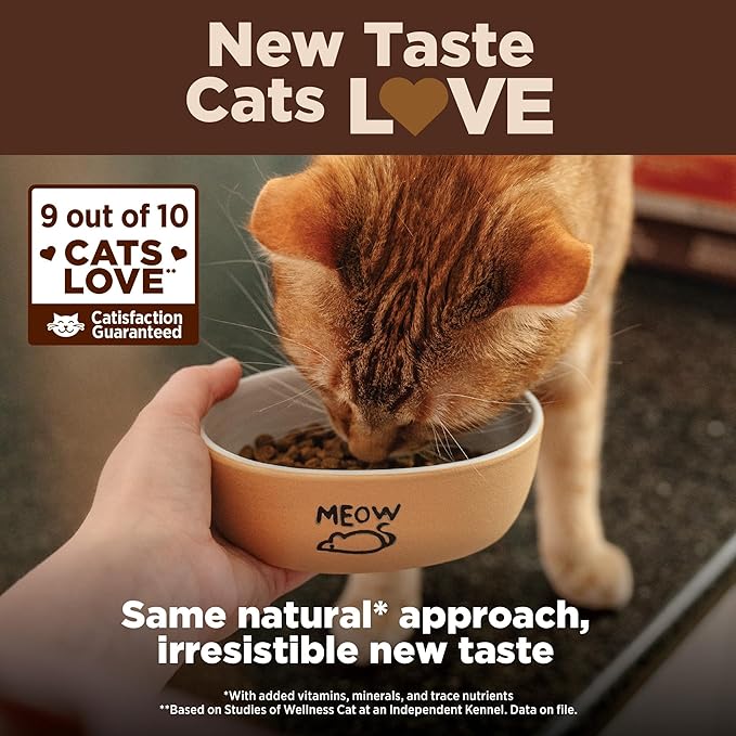 Wellness CORE Adult Dry Cat Food, Grain Free Kibble, Turkey Meal and Duck Recipe - Image 5