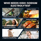 Venture Pal High Sodium Sugar Free Electrolytes Powder Packet, Zero Calories - Image 5