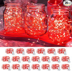 20 Pack LED Fairy Lights Battery Operated, 3 Features Blinking Slowly Blinking by Adamonda