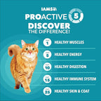 IAMS Proactive Health Dry Cat Food, Indoor Weight and Hairball Care Cat Food - Image 4