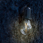 Rechargeable Camp Light, Warm White LED Globe Bulb, Battery Powered - Image 3