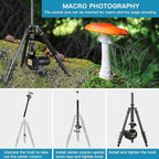 Professional DSLR Tripod for Photography - Image 5