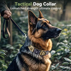 2026 Upgrade Waterproof AirTag Dog Collar, Military Tactical Dog Collar - Image 2