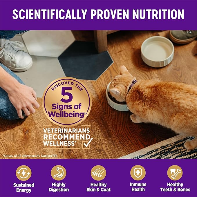 Wellness Complete Health Kitten Dry Cat Food, Grain Free Kibble, Chicken Recipe - Image 4