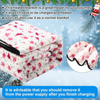 Riakrum 12V Car Heated Blanket for Cold - Image 5