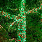 75.8 FT 200 LED Red and Green Christmas Lights Indoor Outdoor, Timer & Memory - Image 6