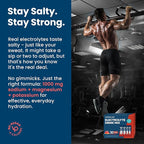 Venture Pal High Sodium Sugar Free Electrolytes Powder Packet - Image 3
