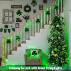 JMEXSUSS Green St Patricks Day Lights Indoor Outdoor Clear Wire, 200 LED Green - Image 4