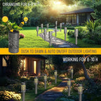 Dazzle Bright Solar Pathway Lights Outdoor, 12 Pack LED Warm White Waterproof - Image 4