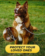 Carabiner Clip 5 PCS - Image 6