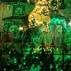 TW SHINE Green Christmas Lights, 18.5FT 100 Count Incandescent Halloween Lights - Image 7