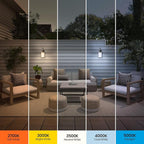 Feit Electric LED Dusk-to-Dawn Light Bulb, A19 60W Equivalent, Non-Dimmable - Image 4