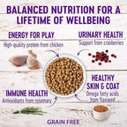 Wellness Natural Pet Food Complete Health Natural Grain Free Deboned Chicken & - Image 2