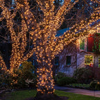 HISHINY Christmas Lights 100 Count Mini Clear Lights 32ft White Wire Christmas - Image 5