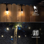 Enbrighten Classic Warm White String Lights, 48ft Black Cord, 24 Shatterproof - Image 3