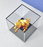 Acrylic Display Case - Image 7