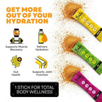 Bala Total Body Wellness Drink Mix, Hydrate & Recover Variety Pack, Lime & Berry - Image 4